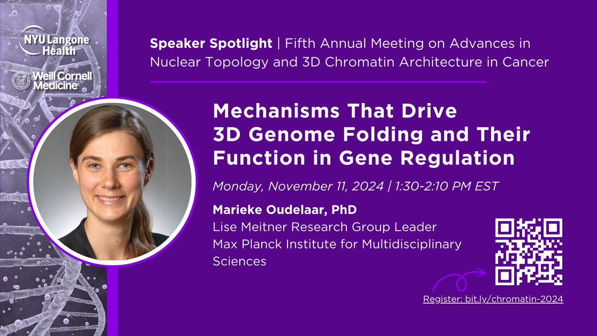 Speaker Spotlight: <a href="/MariekeOudelaar/">Marieke Oudelaar</a> from the Max Planck Institute will share exciting research on the mechanisms behind 3D genome folding and its role in gene regulation during cellular differentiation. Don't miss it! Register here 👉 bit.ly/chromatin-2024 #chromatin2024