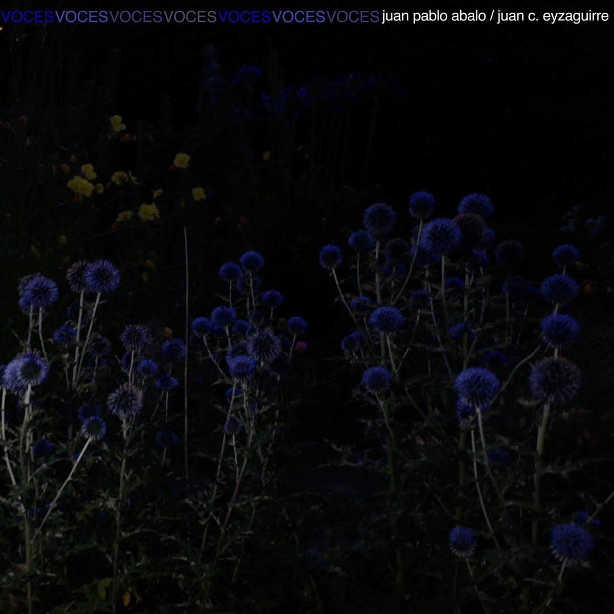 11_sello's tweet photo. Escucha "Voces", el nuevo disco de Juan Pablo Abalo y Juan C. Eyzaguirre (Janaki)
https://t.co/01W90OLOgB

+Info https://t.co/z1VlazL0Up https://t.co/z8iwOQaxAu