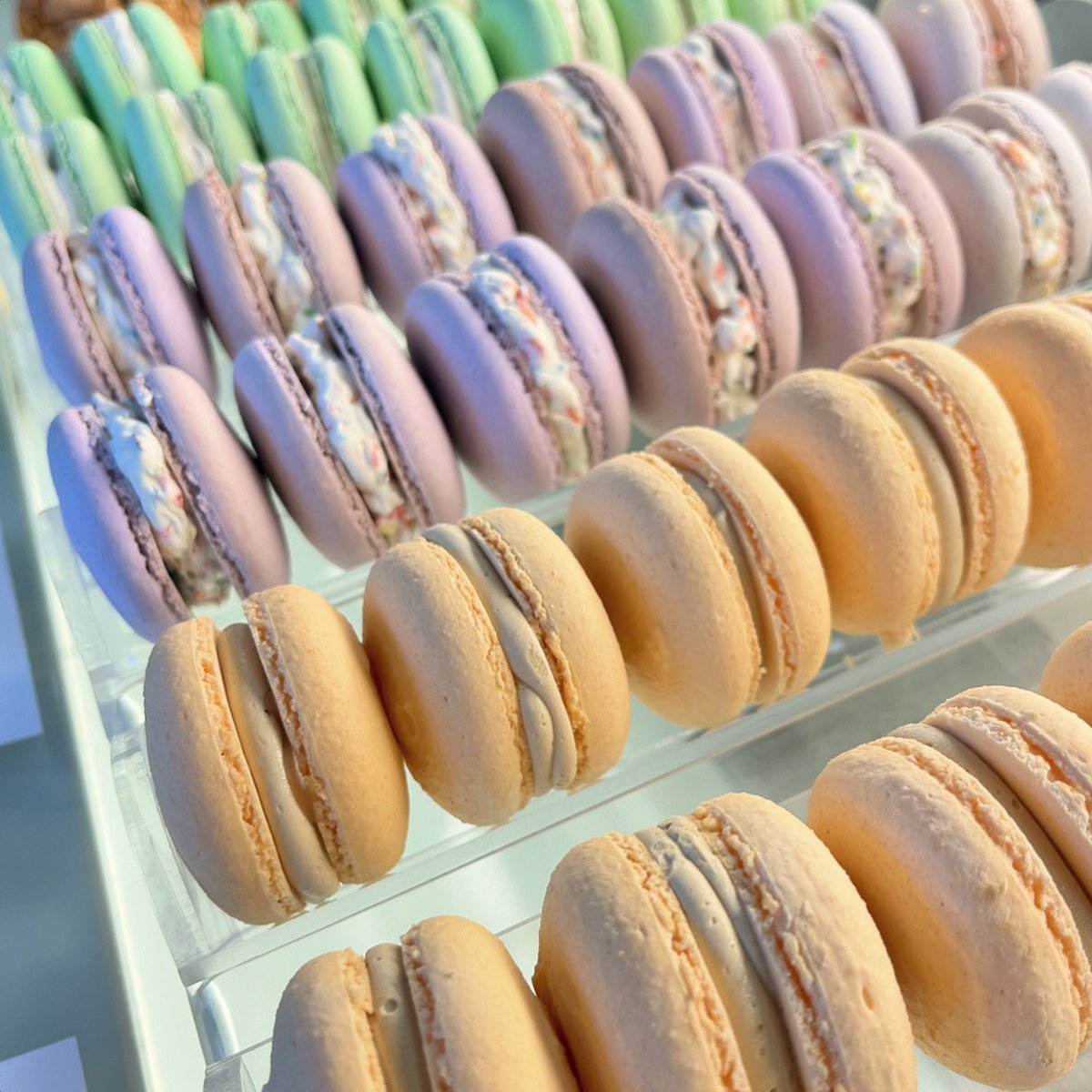 Different_Blend's tweet photo. This week we have Maple Pecan 🍁, Fruity Pebbles 🌈, and Caramel Coffee ☕️ French Macarons

#differentblendbakery #glutenfree #bakery #celiac #celiacdisease #macarons #frenchmacarons #fruitypebbles https://t.co/Trf1S5Er2c
