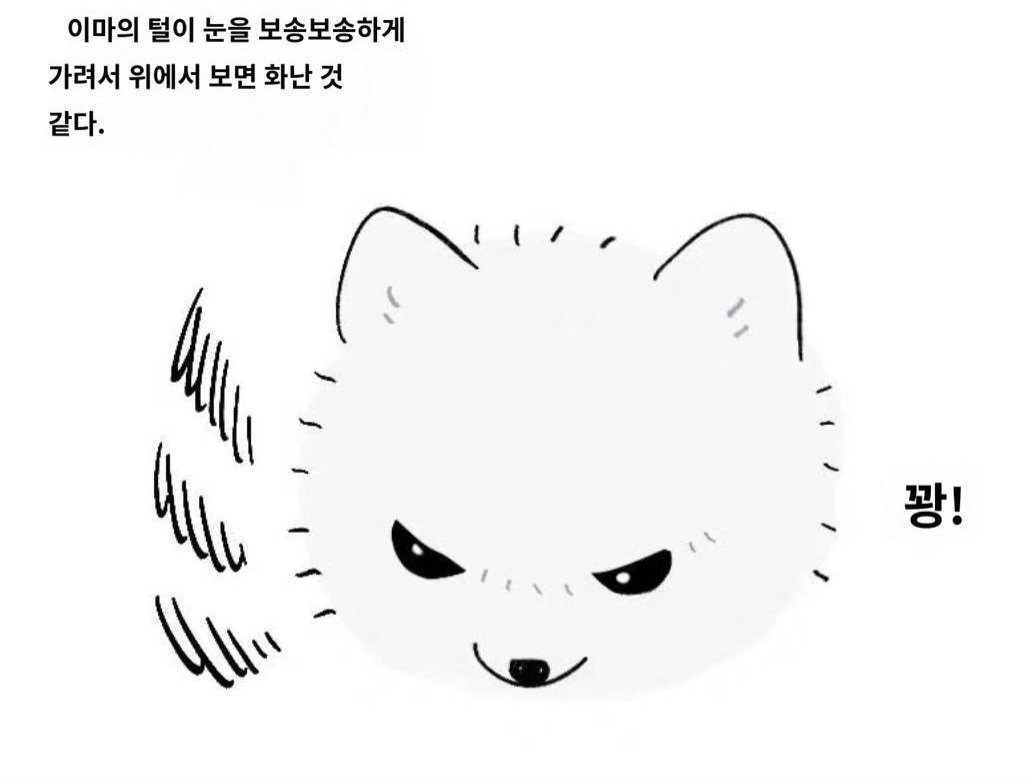 행얄 tweet media