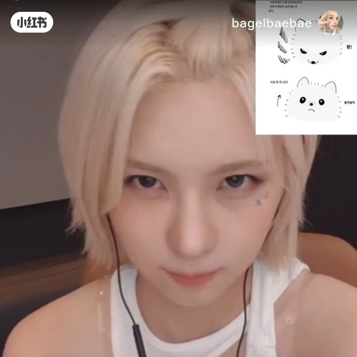 행얄 tweet media