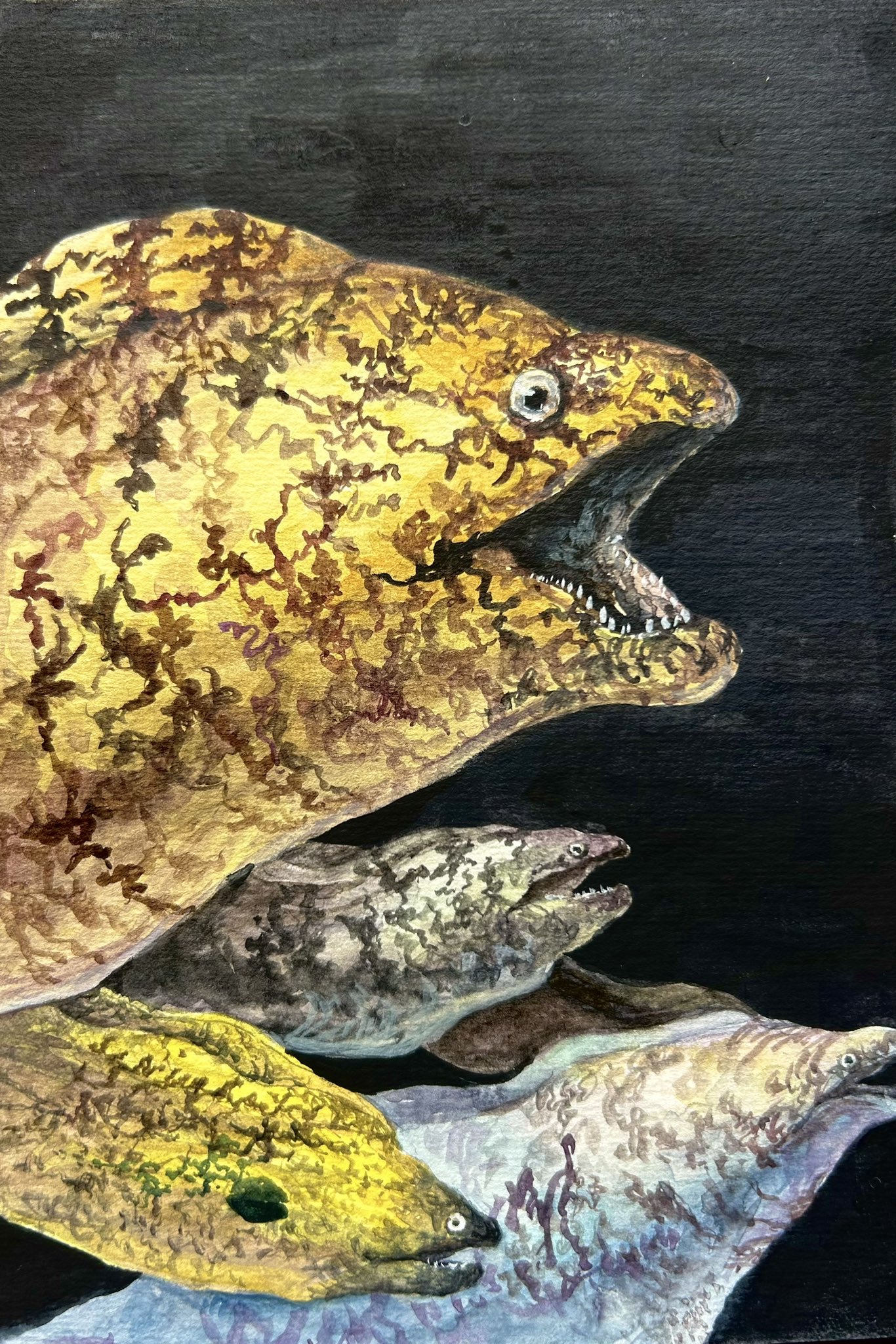 特選　絵画　魚の絵画 第43回 上野の森美術館大賞展 2025年4月26日(土)〜5月8日(木
