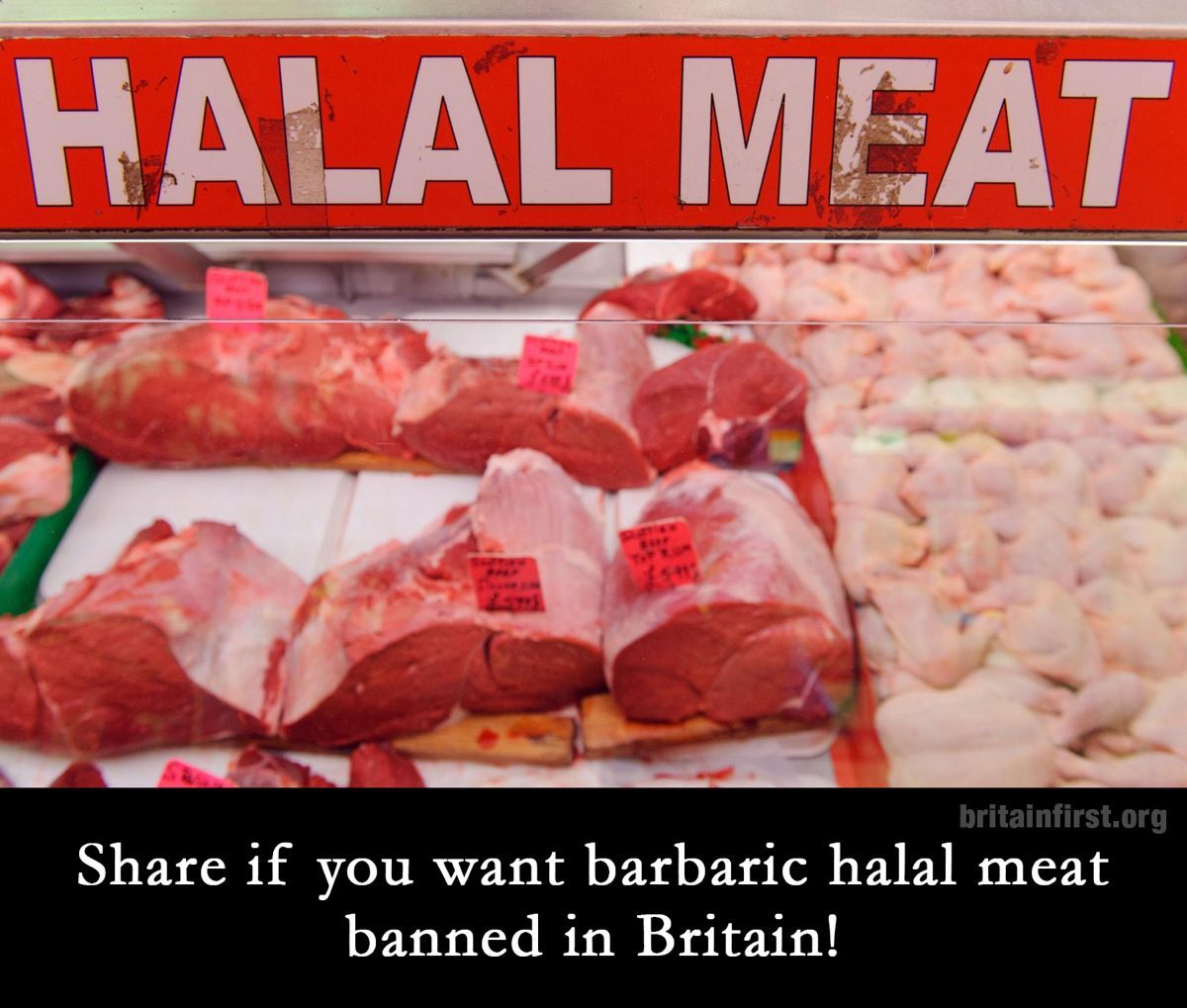 BFirstParty's tweet image. Should we ban ALL barbaric ritual slaughter in the UK?