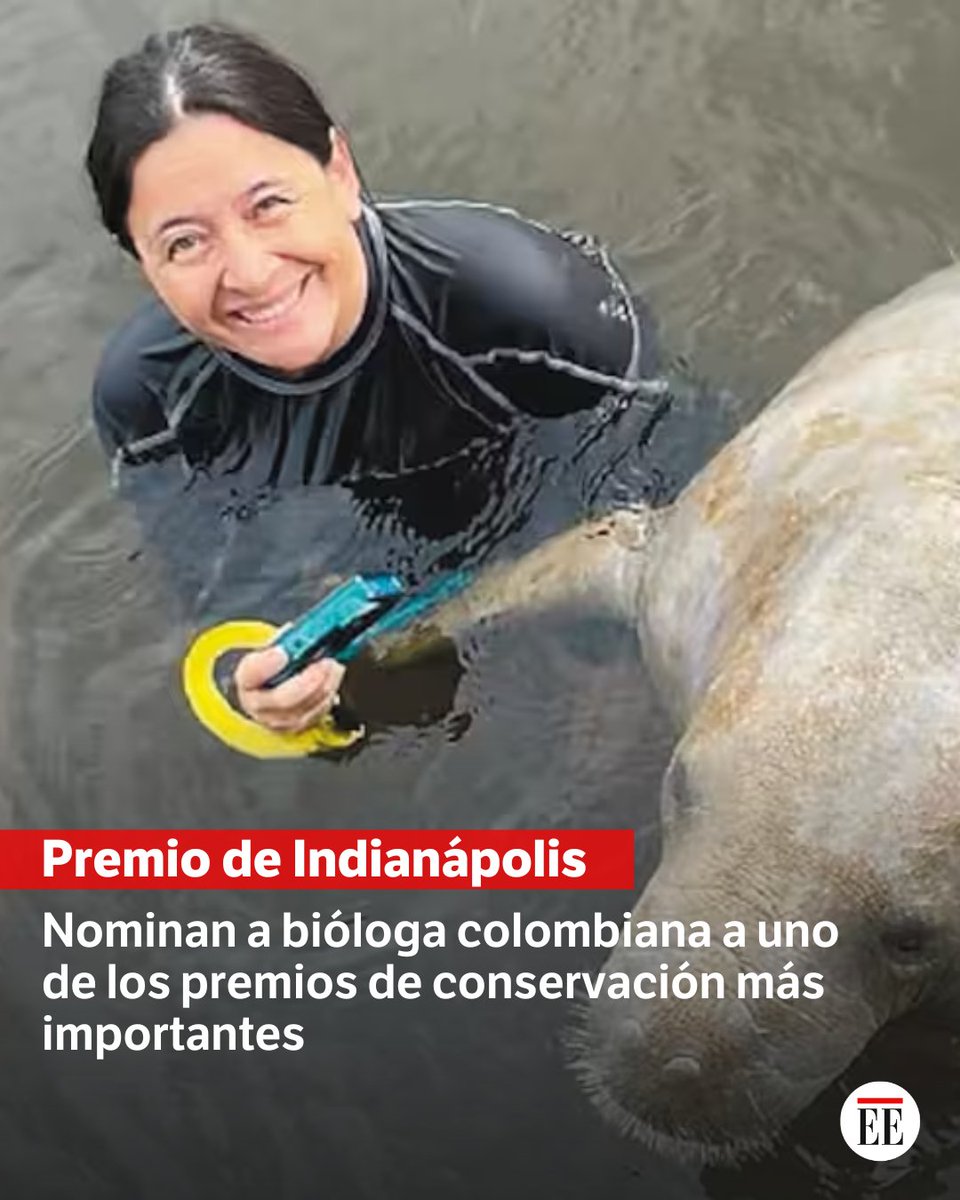 elespectador's tweet photo. Un reconocimiento mundial
👉https://t.co/77GcZSa5tl https://t.co/LGLutvwIIf