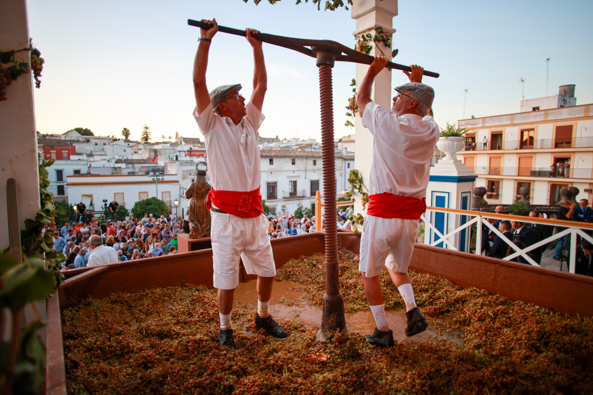 TurismoJerez's tweet photo. Las Fiestas de la Vendimia se vive en Jerez en todo su esplendor.

Una oportunidad única para descubrir de cerca el apasionante mundo del vino.

#JerezSiempre #AlwaysJerez #Jerez2031 #turismojerez #visitajerez #jerezdelafrontera https://t.co/QQ7yYdWckH