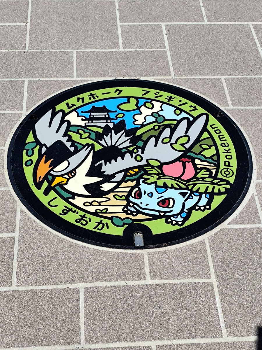 すげーいい感じに撮れたポケふた