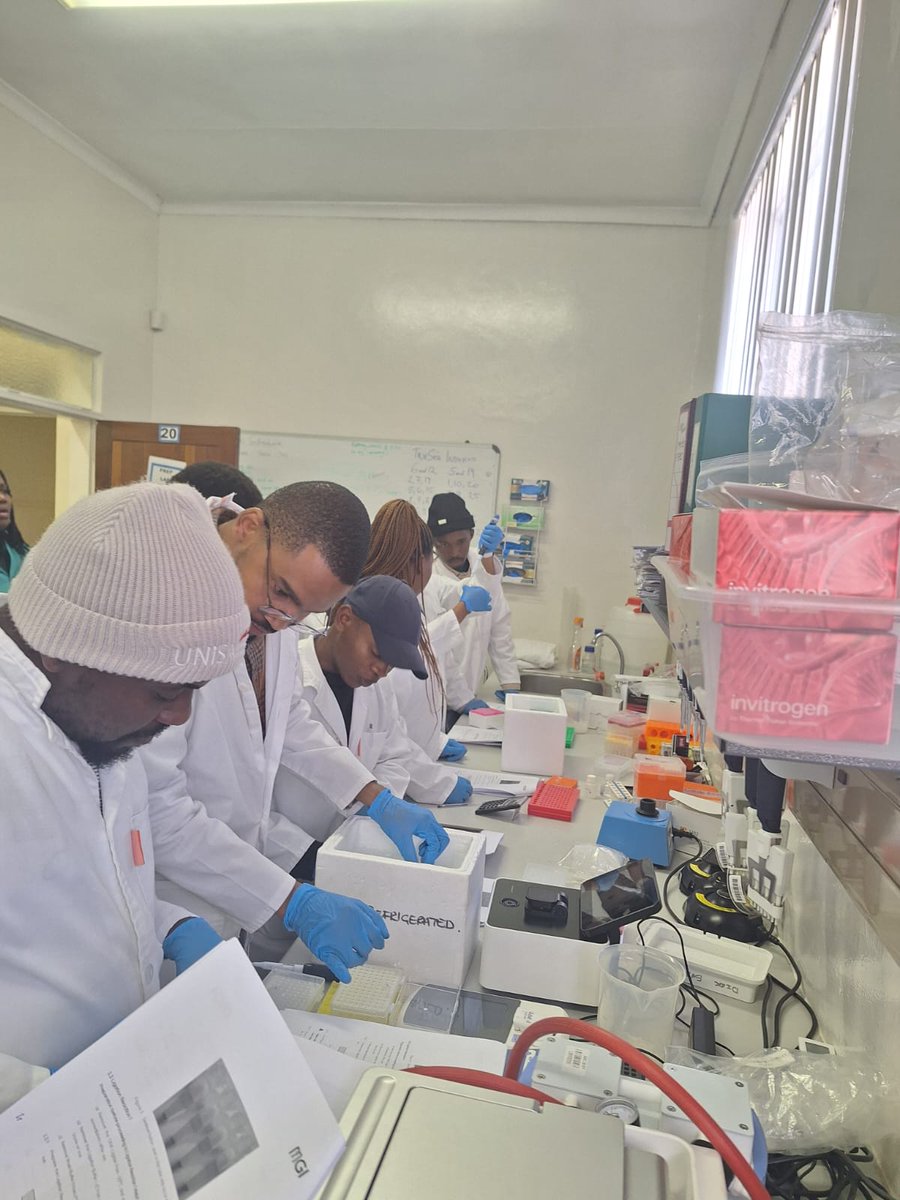 DAISEA_AfricaBP's tweet photo. Day 1: Pretoria, South Africa: Several African scientists turned up at the Agricultural Research Council (ARC) of South Africa as part of the African BioGenome Project Open Institute Southern Africa Regional Workshop 2024. This practical is sponsored by @mgi_t https://t.co/SGbAoBBKMg