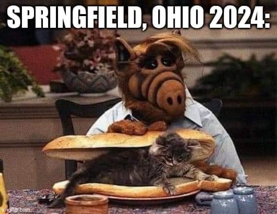 MAGA / Trumper Bigots  😂😂😂