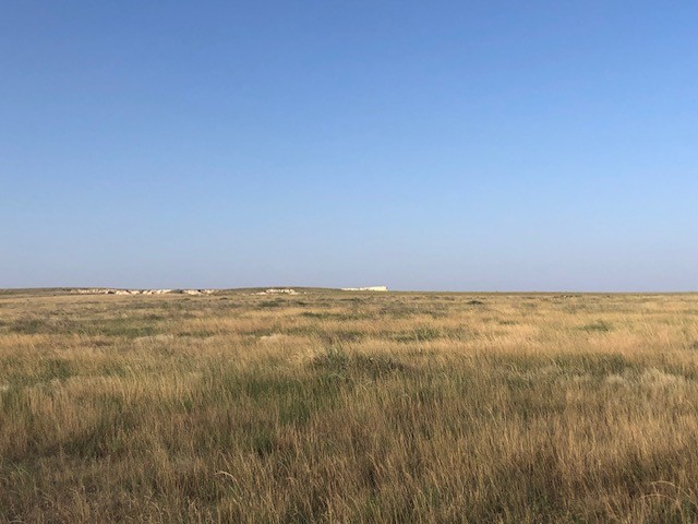The Hoeme family hosted nearly 100 livestock producers last month at their beautiful ranch for a KLA/K-State Field Day. 

Our Matt Clark shared Terrain’s outlook for #beef demand, which is likely to remain very strong provided the U.S. avoids a recession. brnw.ch/21wMyWR