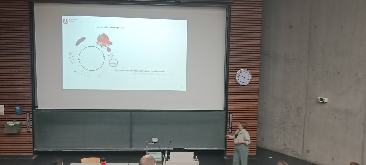 Alexandra Mir Davood Bernal tweet media