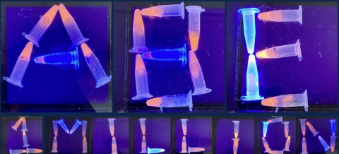 TampaAbe's tweet photo. Please join us in celebrating this incredible milestone! #ABE1M #biotechexperience https://t.co/UVNI1HbCHT