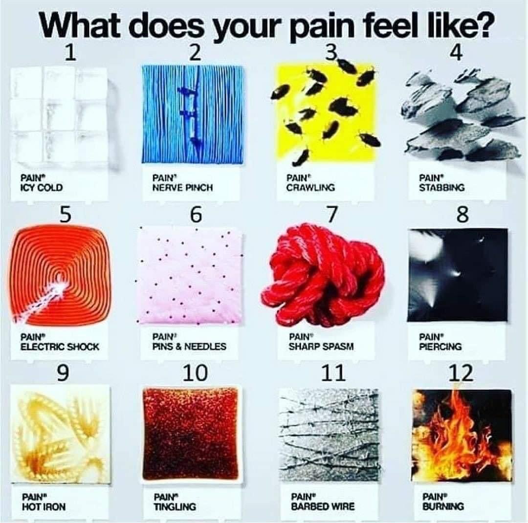 Orkney Fibromyalgia Sufferer ♿ tweet media