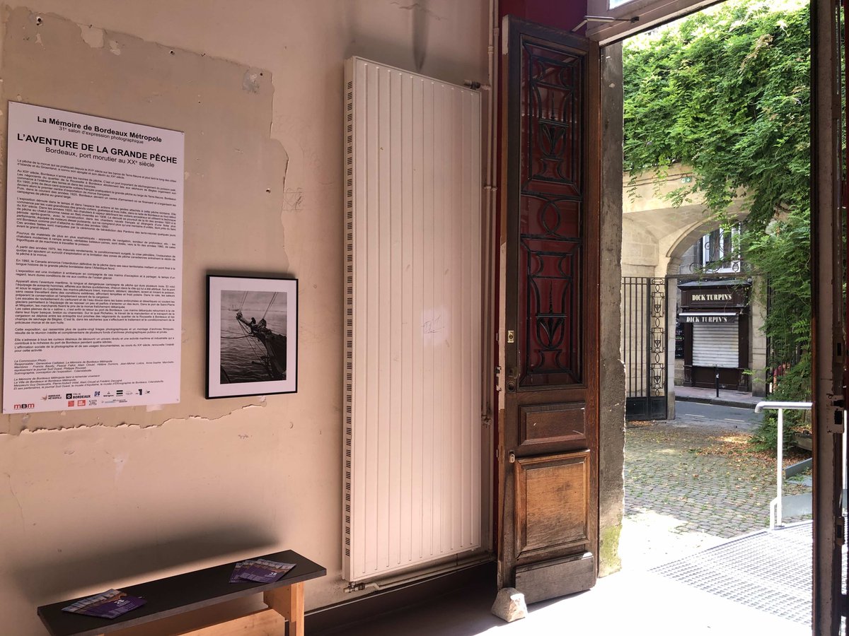 MemoireBdx's tweet photo. #Photos mercredi! Jusqu'au dimanche 22, succombez à la tentation et pousser les grilles de l'Hôtel #Ragueneau!! En + de la somptueuse #glycine, découvrez notre #exposition sur l'histoire de la grande pêche dès 13h aujourd'hui! @BDX_Culture @SOArchives @MuseeAquitaine @comf3aqui https://t.co/AYBHH0vUZ6