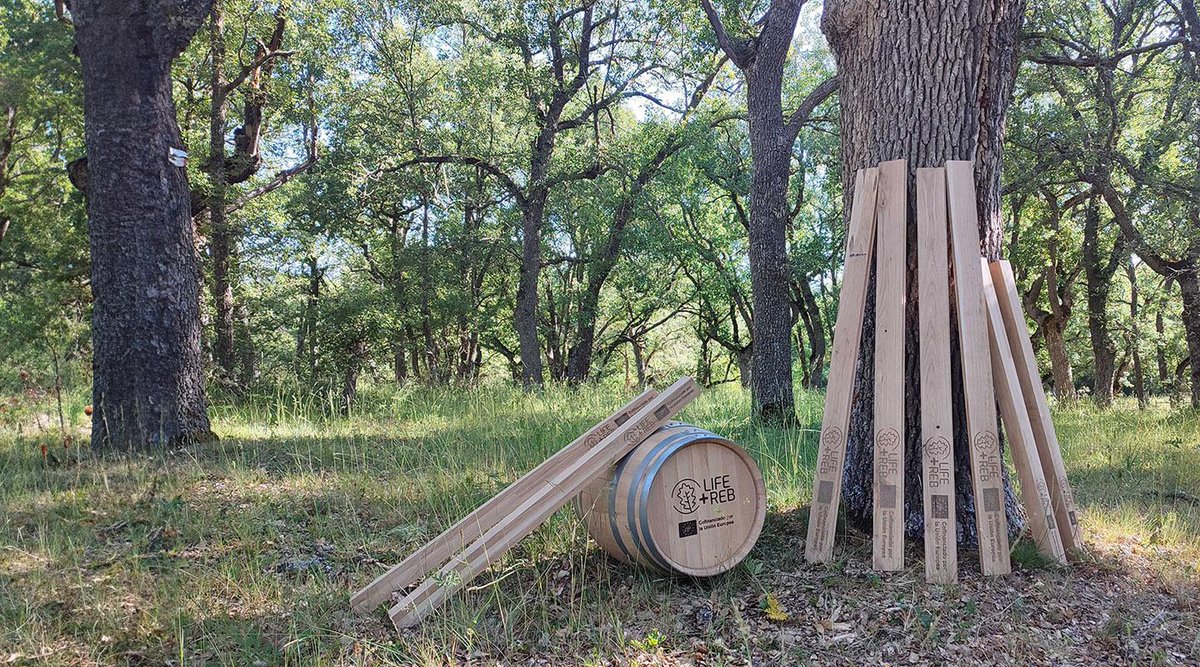 naturalezacyl's tweet photo. Los socios industriales del @LifeRebollo fabrican los primeros prototipos de productos a partir de madera de rebollo: perfiles laminados de @GrupoGamiz, una barrica de fabricada por #Intona y lamas para suelos de @maderasvaronars. La @jcyl participa en el proyecto https://t.co/DnZwVf9LwB