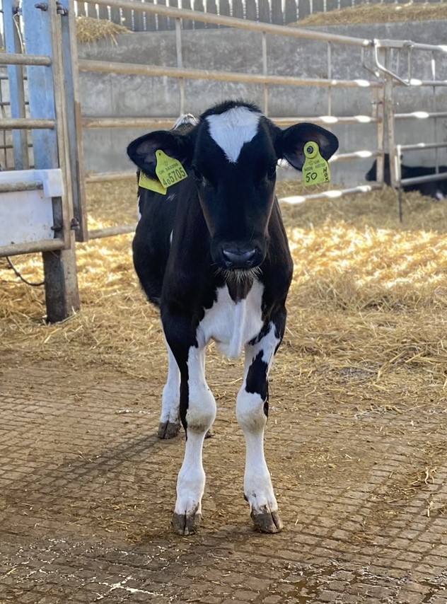 CW Agricultural law team tweet media