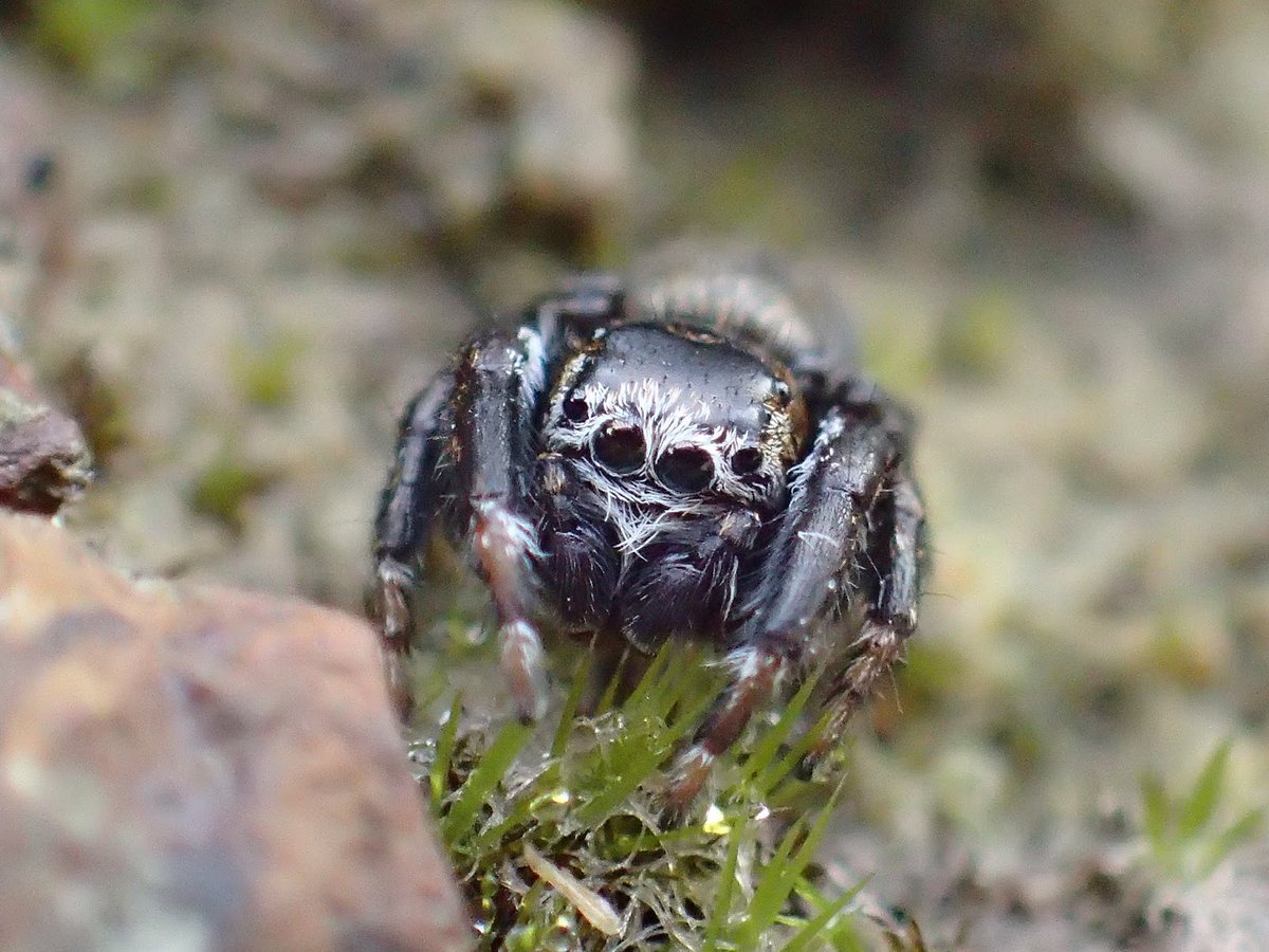 Graeme Lyons tweet media