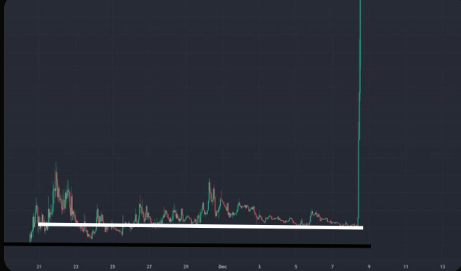 crypto_BTC_07's tweet photo. According to trends, which coin is achieving this state , these days , i am not giving any hints, but i do have one cat and two dogs. https://t.co/gi3ZTv2VnT