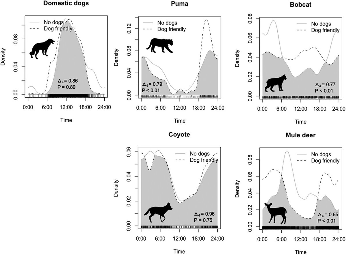 Wildlife Biology tweet media