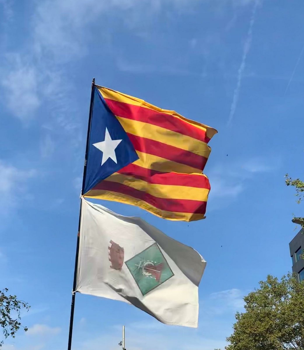 Bona Diada 💛❤️⭐❤️💛