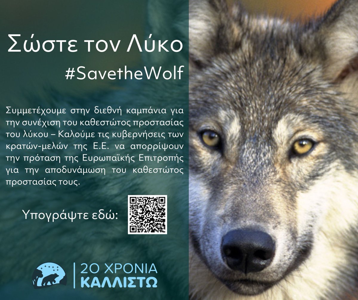Σώστε τον Λύκο!
#SavetheWolf
Συμμετέχουμε στην διεθνή καμπάνια για την συνέχιση του καθεστώτος προστασίας του λύκου – Καλούμε τις κυβερνήσεις των κρατών-μελών της Ε.Ε. να απορρίψουν την πρόταση της Ευρωπαϊκής Επιτροπής για την αποδυνάμωση του καθεστώτος προστασίας τους.