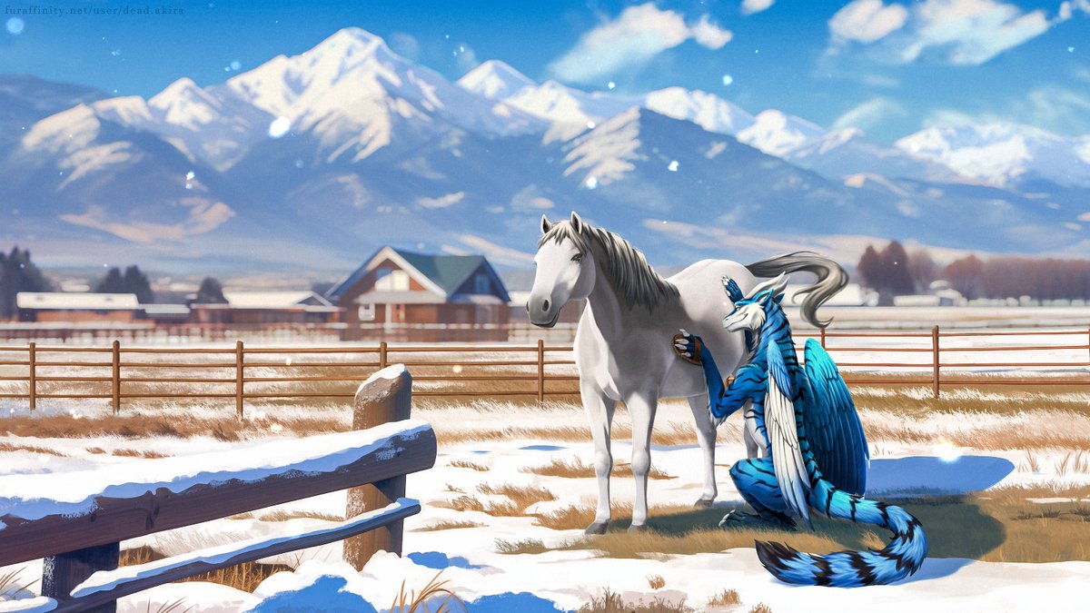 Commission from FA
Dreth grooms his lipizzaner horse ~