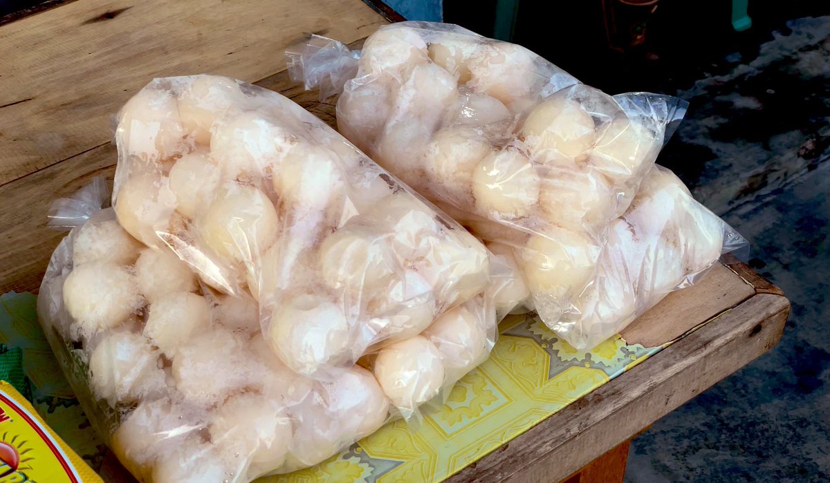 Memperdagangkan telur penyu, bisa dipidana. Tapi pasir lautnya (ekosistem penyu) bisa diekspor. 

Yang dilindungi negara itu landak. Hutannya serahkan ke investor.