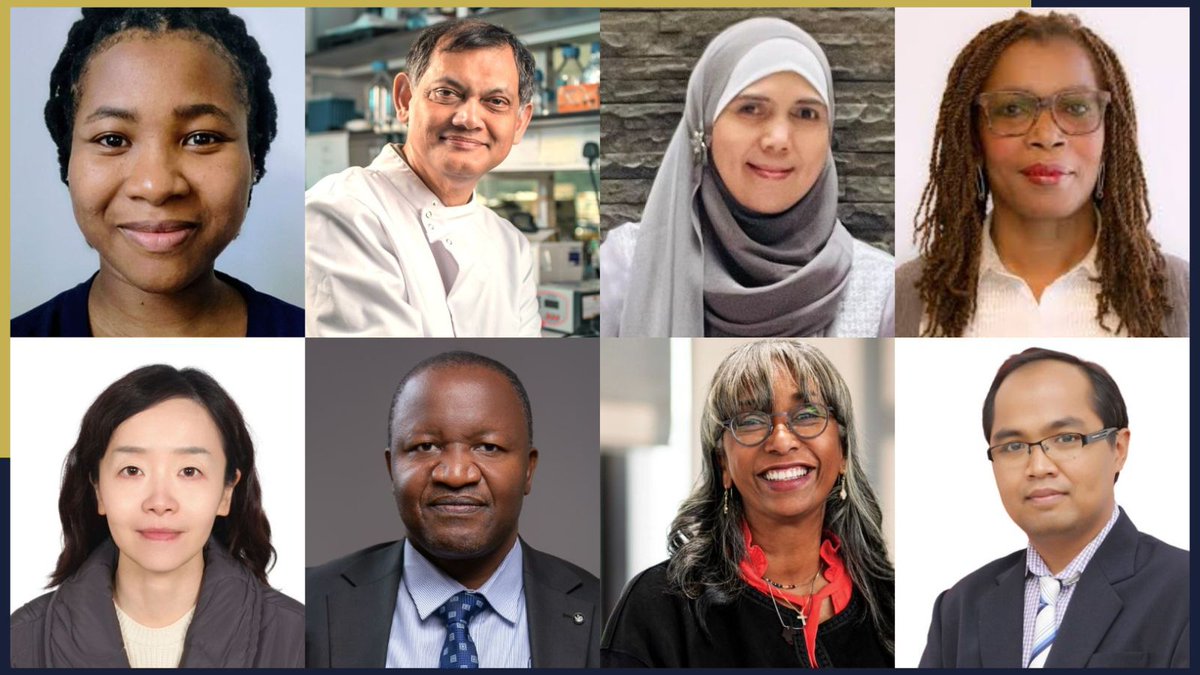 This week, experts from across the globe are gathering at The University of Manchester to celebrate our global partnerships.
Cross-collaborations on an international scale are vital to inform our research and develop plans for the future.