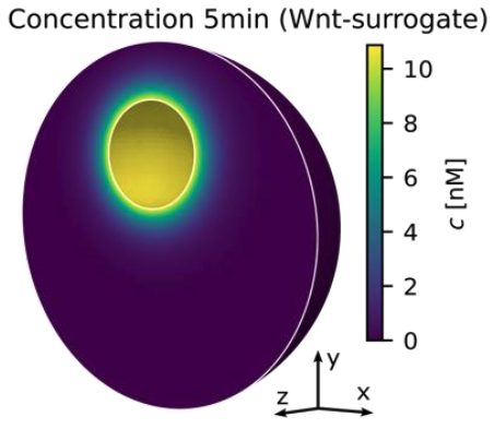 Oliver Drozdowski tweet media