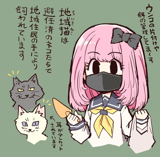 漫画の感想のコメントの中に
「地域猫」の事を知らない人がいたので
改めて紹介します。
周辺住民に迷惑かけないよう
みんなで世話をしているノラ猫たちです。
見かけたら優しく見守ってあげてください。 