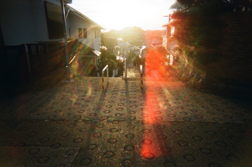 momomo_pic's tweet image. the camera 🍹 the photos

#toycamera

プラスチックレンズの滲みが好き。壊れてもうたけど😱