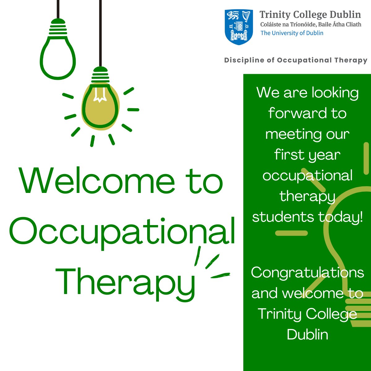tcd_ot's tweet image. The Discipline extends a warm welcome to each of our new first year occupational therapy students who start with us today.

We wish you all the best in your undergraduate learning.

@TrinityMed1 
@AOTInews 

#ThisisTrinityMed
#FutureOTs
