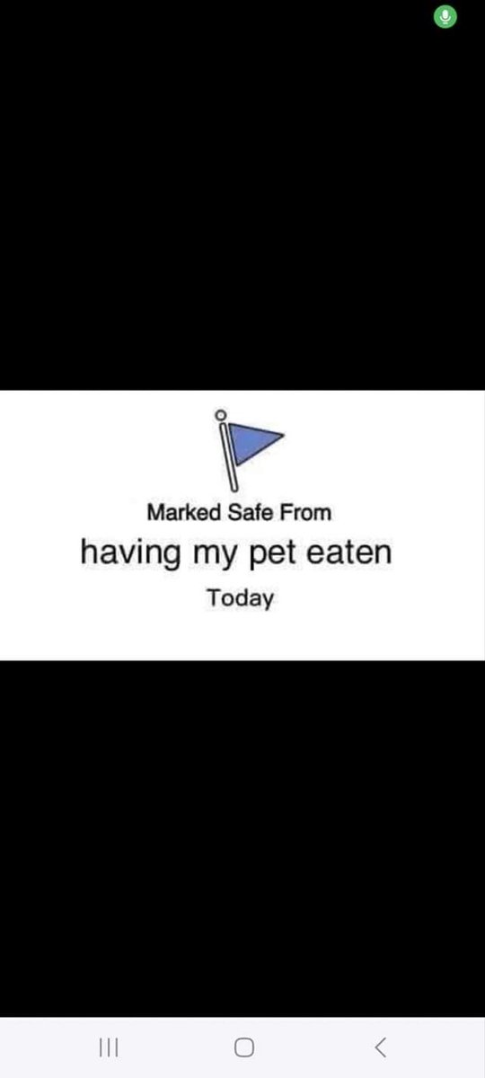 Marcelo Magnasco tweet media