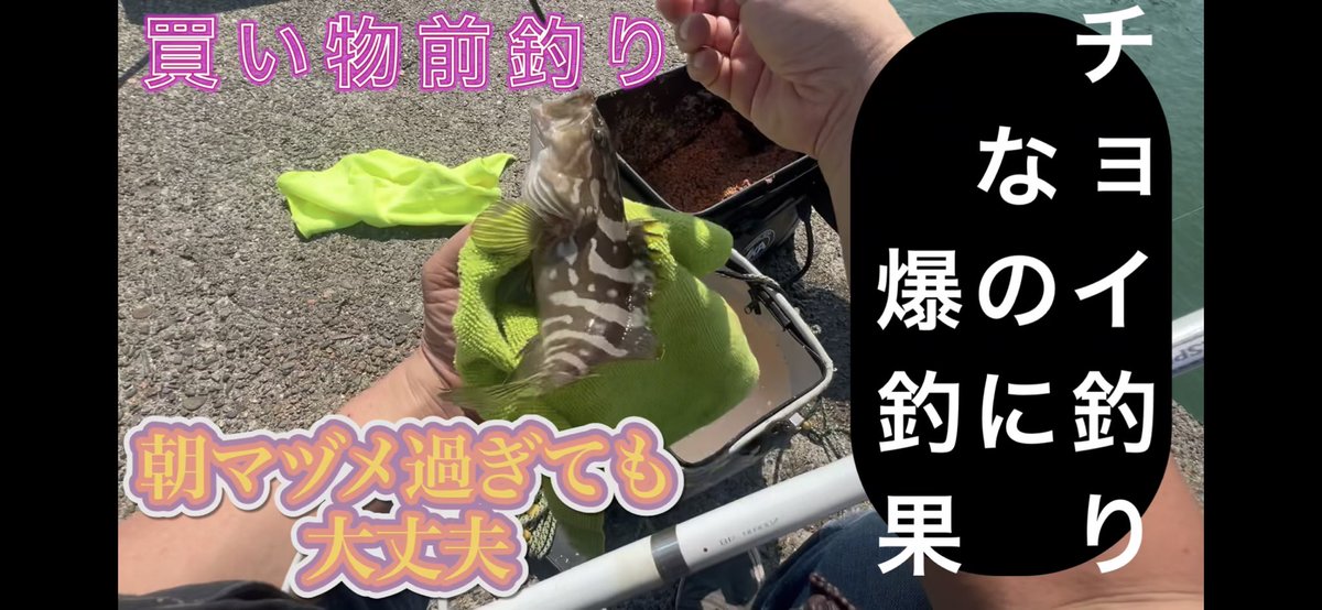 たかたか (@Q22eBNNKE97F1WQ) / Posts / X