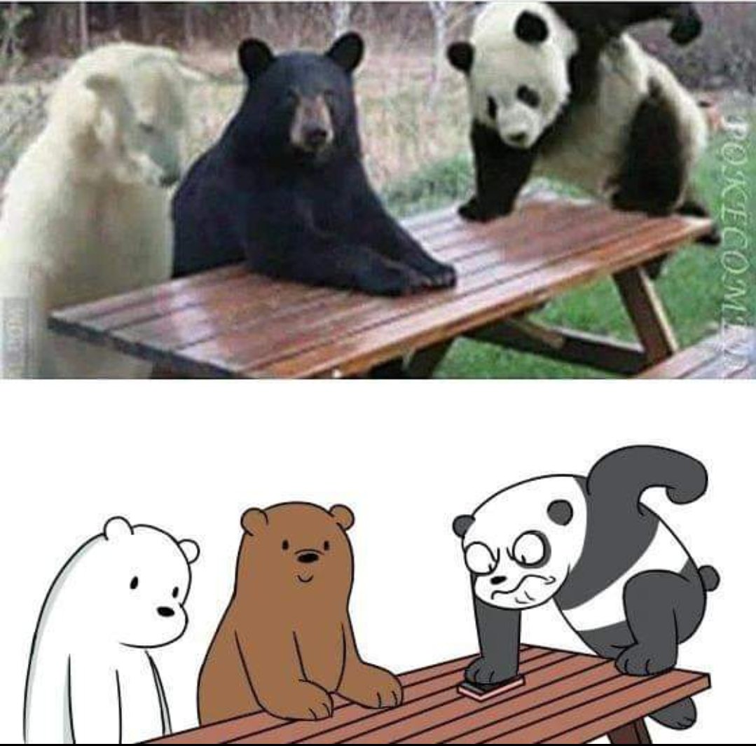 AnupamPrimeWR's tweet photo. @threebarebears make the upper picture a reality please! #LiveAction #WeBarebears https://t.co/siuJ0fIvKw