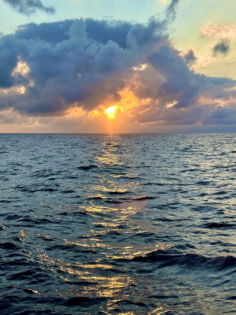 Ester Serrao tweet media