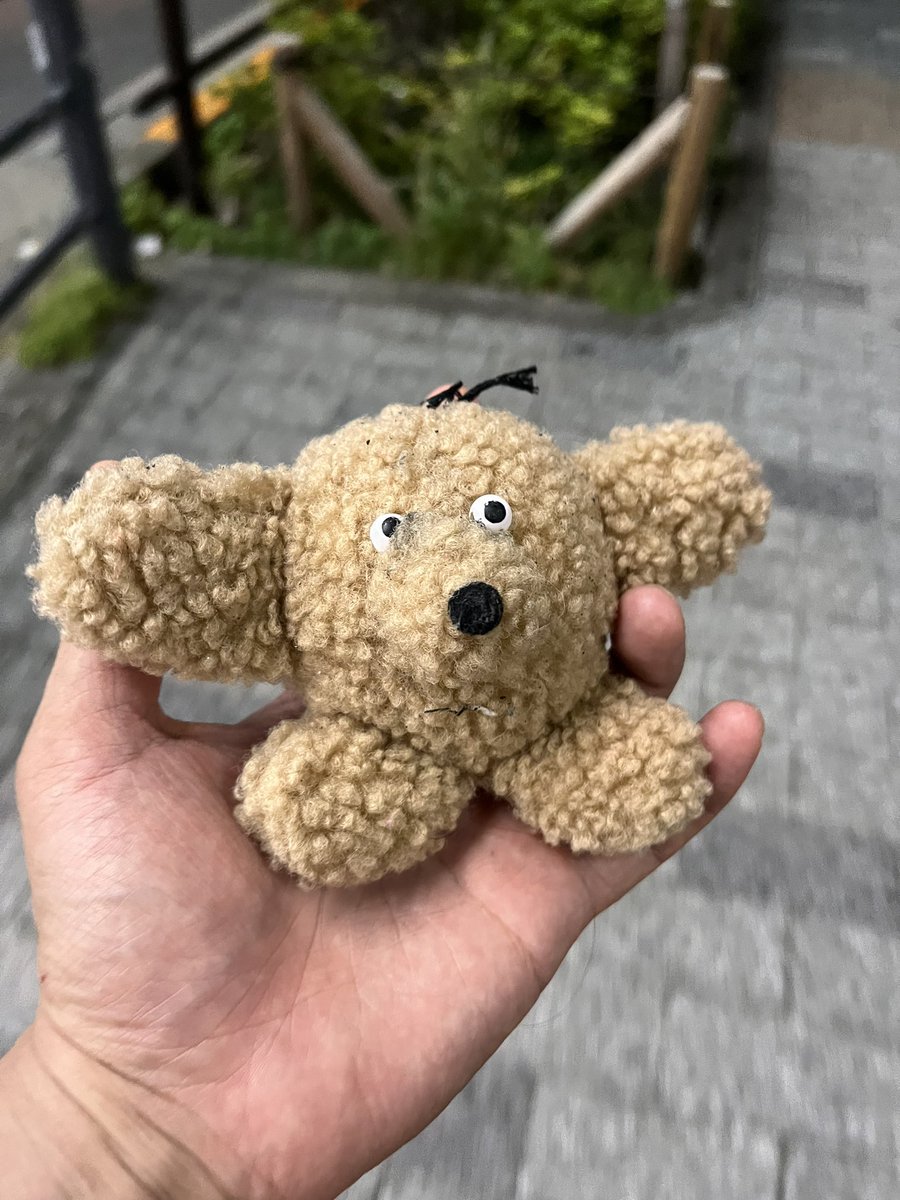 DIYZ's tweet photo. お、おまえ〜！
秋葉原でどなたか落とした人いませんか！
これはさぞ大事なのでは… https://t.co/uzhTIRmjJZ