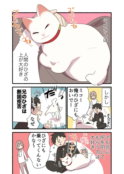猫をひざに乗せられない兄の話(1/2)
#愛されたがりの白猫ミコさん 