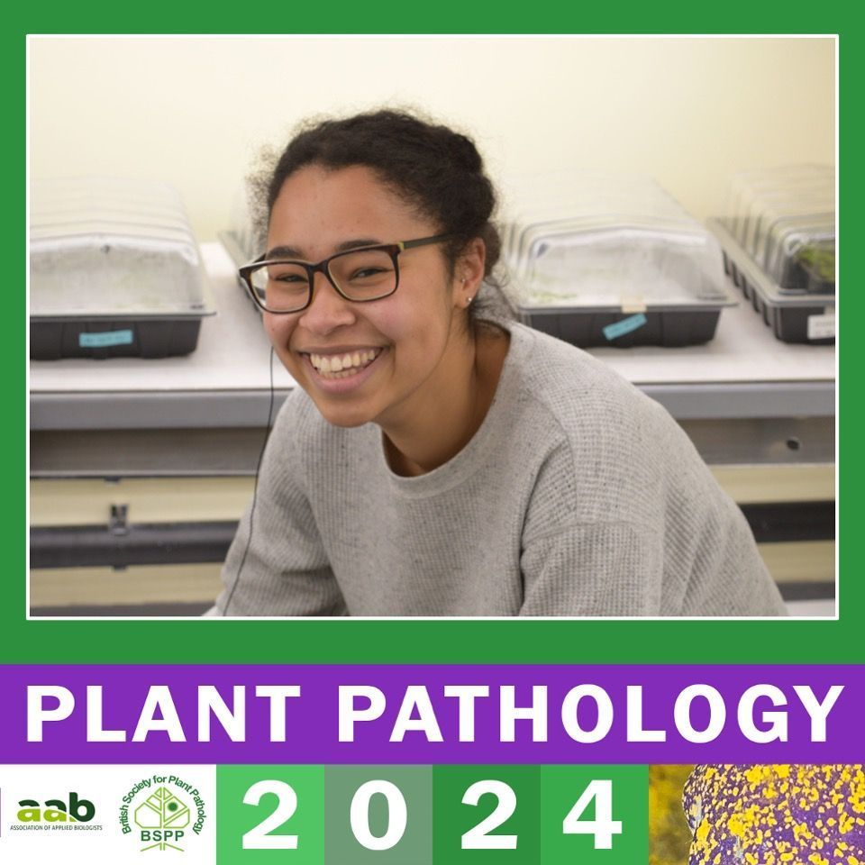 BS_PP's tweet photo. Now we have @jade_bleau on 'Understanding the cooperation of Myzus persicae effectors Mp1 and Mp58 in aiding aphid infestation' https://t.co/e7kio6h6oL