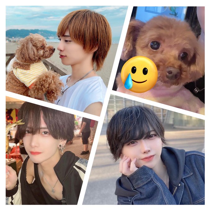 絶対王政~超~のツイート