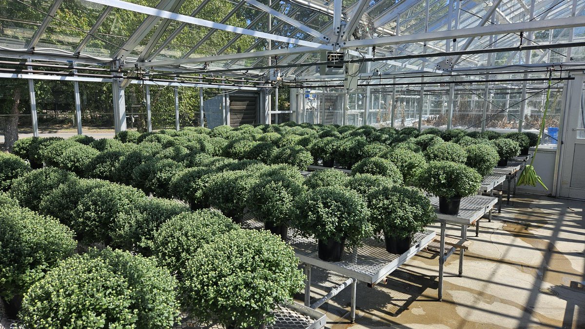 Atlee Horticulture tweet media