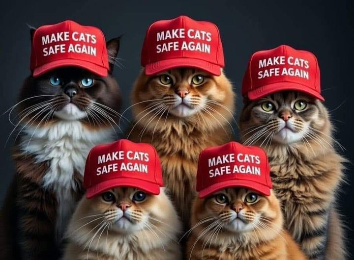 im_silverfox's tweet photo. @snb19692 https://t.co/WJXYbPIzsf