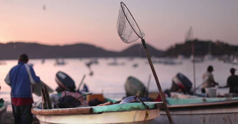 waveofchange's tweet photo. In an interview with @ourGSSI, Erika Harms, our Global Director of Sustainability – Science, Innovation &amp; Research, discussed how @Iberostar is enhancing local food systems, promoting sustainable seafood practices, and leading the way towards a more responsible tourism.