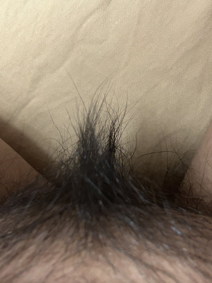 媒体预览