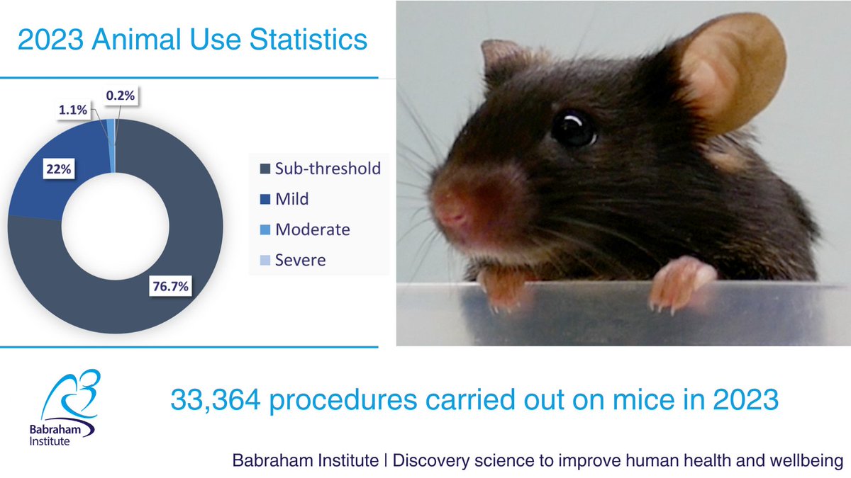 It's #AnimalStats day in the UK. Our animal stats, and lots more information about why and how we use mice in our research, are available from our website: babraham.ac.uk/our-research/a…

#AnimalResearch #ConcordatOpenness