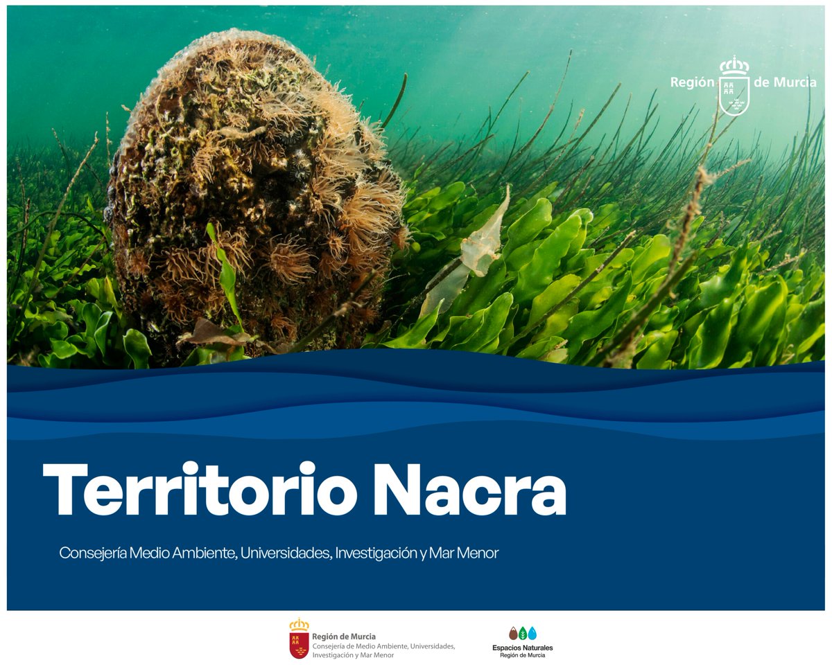 EspNaturalesMur's tweet photo. La Comunidad inicia la consulta pública previa a la elaboración del #PlanDeRecuperación de la #Nacra, abierta hasta el 30 de septiembre de 2024.
Participa y aporta datos o sugerencias relevantes para su inclusión en el plan. 

¡Tu opinión es importante!
🔗 https://t.co/tsvRK0SfOM https://t.co/9ES70ZFImF