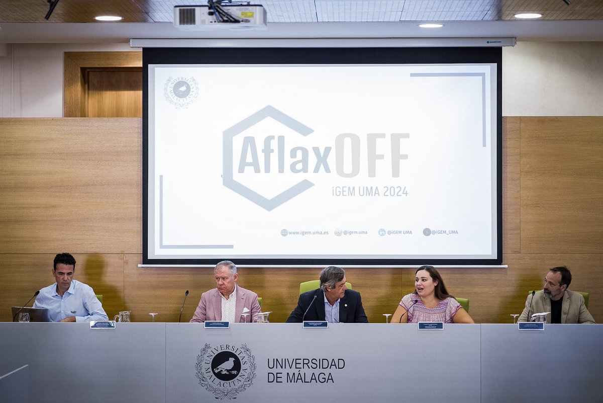 malaga's tweet photo. La concejala de @MalagaJuventud, @Mmercedesmartin, junto al rector de la @InfoUMA, @teolopezuma, y el decano de la @UMACiencias, Antonio Flores, ha asistido en el edificio del Rectorado de la UMA a la presentación del proyecto denominado 'AflaxOFF' del equipo @iGEM_UMA. https://t.co/da8ihw22uB