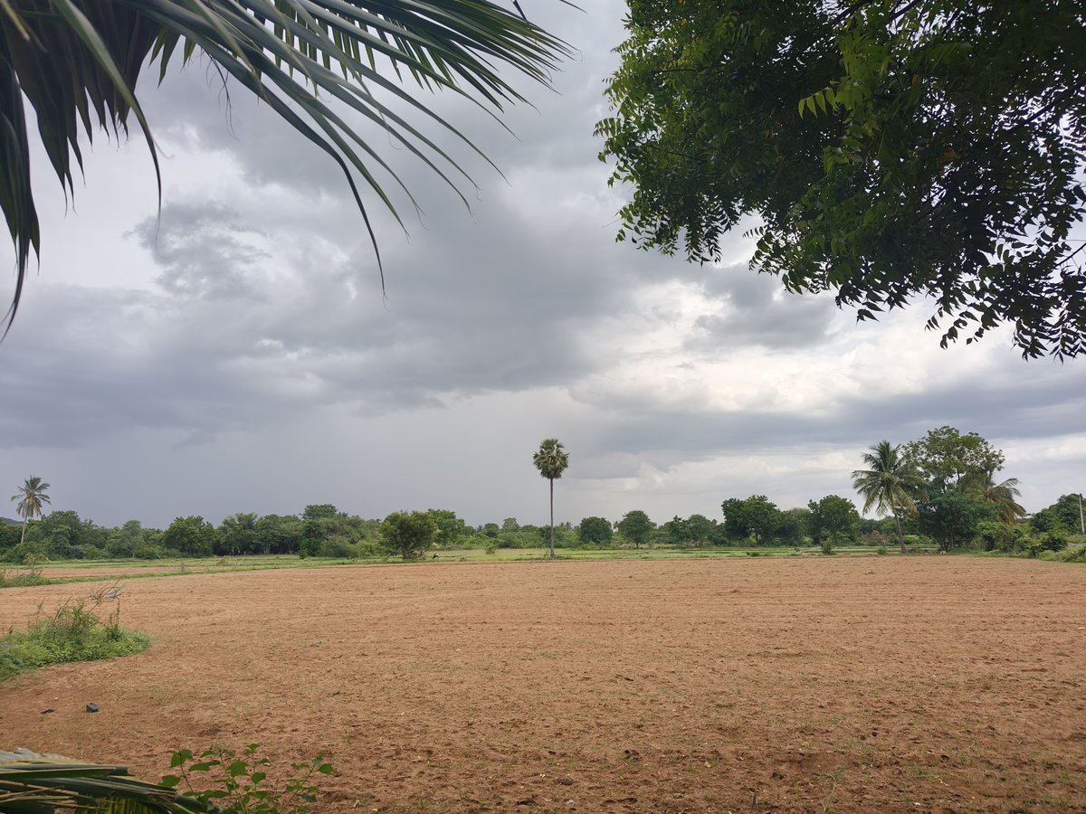 ImP__Azhagar's tweet image. மழை வருமா வராதா 💚✨😍

#nativelove
#villagelife