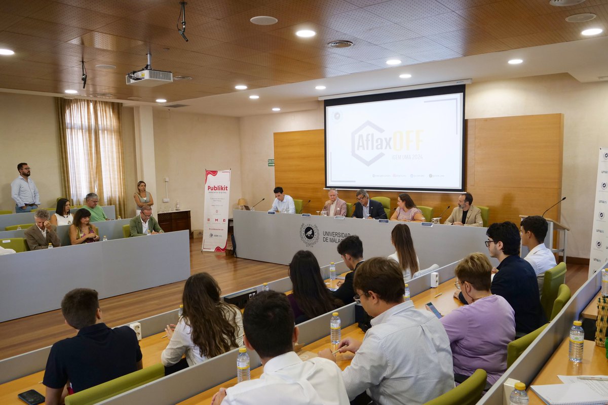 teolopezuma's tweet photo. 'AflaxOFF' tiene como fin desarrollar un probiótico capaz de localizar y actuar ante la intoxicación por aflatoxinas, toxinas cancerígenas producidas por hongos que pueden contaminar alimentos como el maíz, el trigo o el arroz. https://t.co/TzsddwOBWA