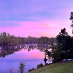 Photo by eliza wern (@RossNC2007)