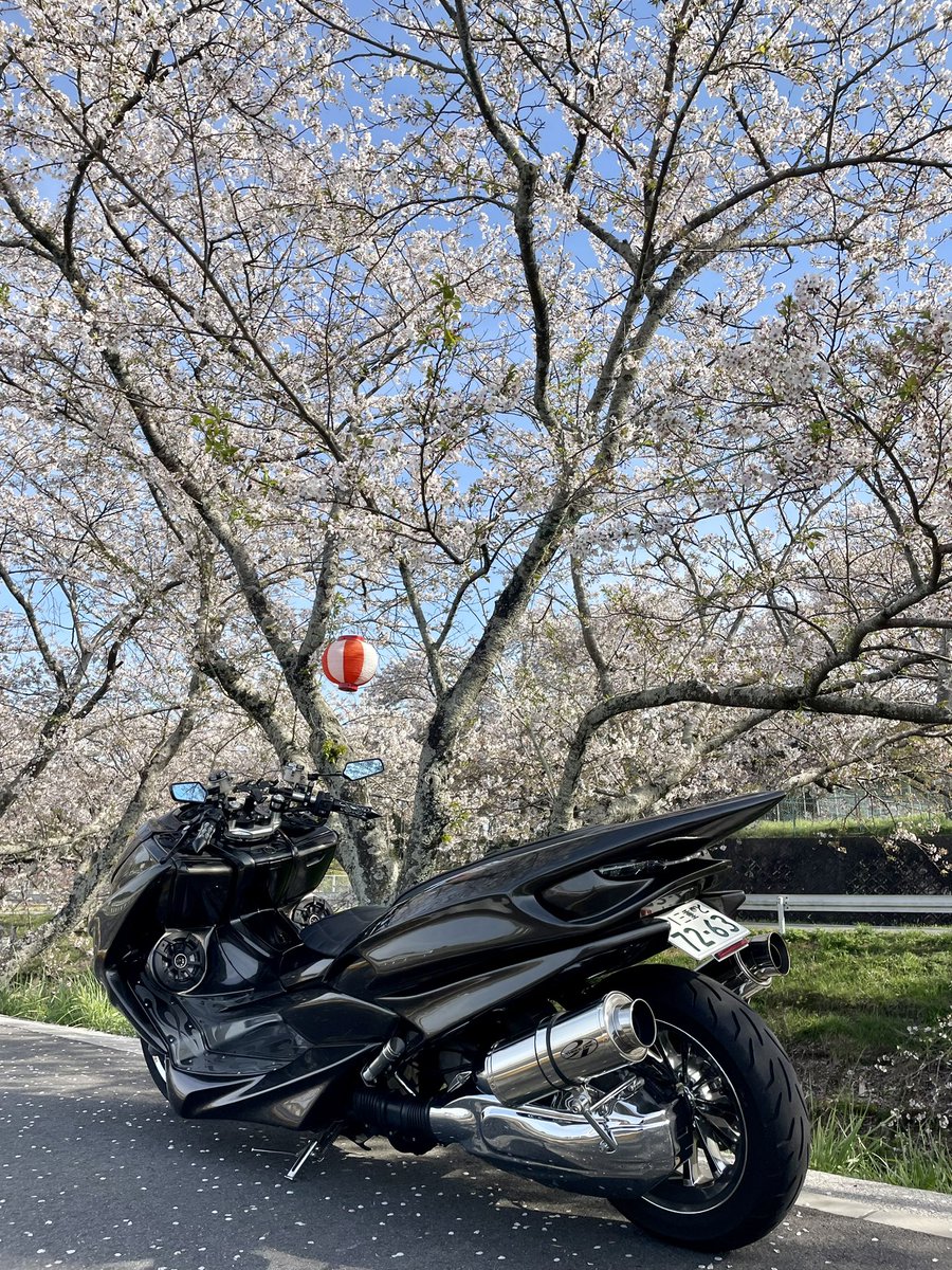 fitnoyuki1129's tweet photo. そろそろツーリング行きたい🙃
 #ストリートボブ  #ストボブ #FXBB 
 #マジェスティ #4d9 #sg20j https://t.co/wQvhbcvLZT